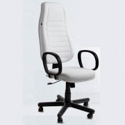 Cadeira Presidente Elegance 010 - Vianflex
